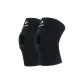 Black[1 Pair]
