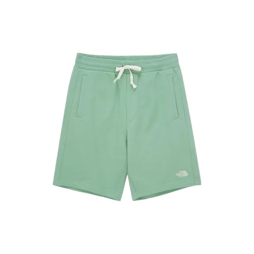 THE NORTH FACE Casual Shorts Unisex Fruit Green