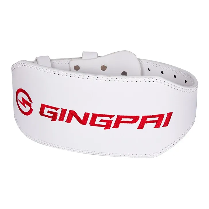 Competition Back Support Braces-5
