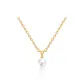 Perfect round rabbit ears in gold color.