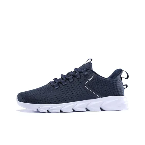 PEAK Qingyi Running Shoes Men Low-Top Blue