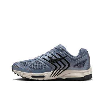 Nike Air Zoom Pegasus 2005 'Ashen Slate' Women's