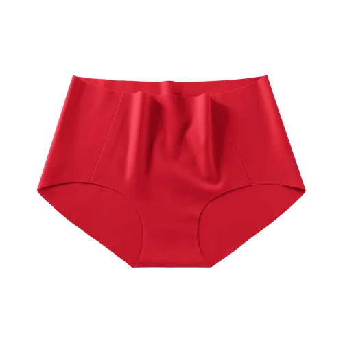 SUJIIN Women's Underpants