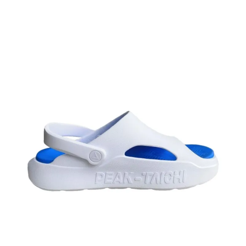 PEAK Statistic Sandals Wrap toe Slippers Men's Baymax/Colorful Blue-2