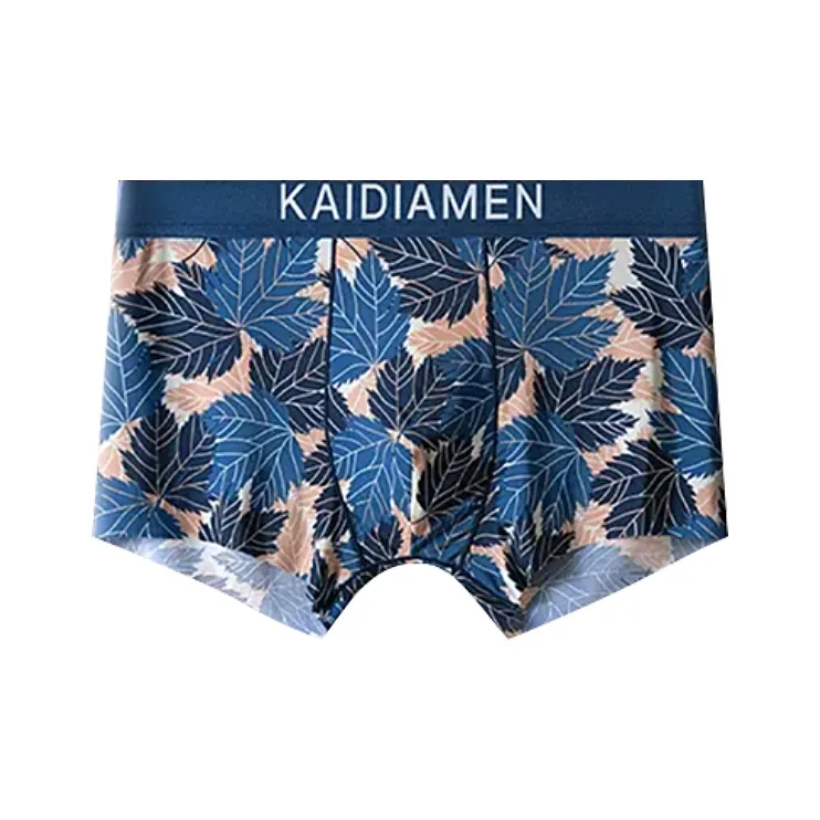 ROBINHOOD Underpants Men's Combo Set-4