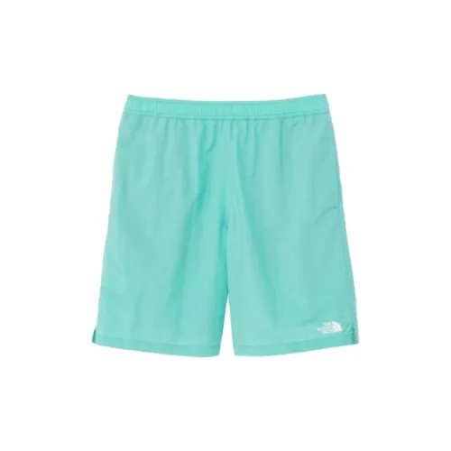 THE NORTH FACE Casual Shorts Men Intermittent Springs Water From Georgia