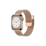 Double Magnetic Beige Blue Steel Band-Rose Gold[Strap Only, Movement Not Included]