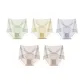 K Set-Sheer Lace-Green+Light Skin+Gray Blue+Coffee+Coffee