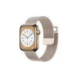 Double Magnetic Beige Blue Steel Band-Gold[Strap Only, Movement Not Included]