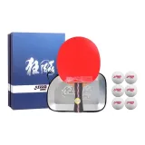 Shakehand Grip[NO.6 Offensive]DHS 6 Pcs Training Balls