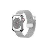 Dual Magnetic Beige Blue Steel Band-Silver[Strap Only, Movement Not Included]