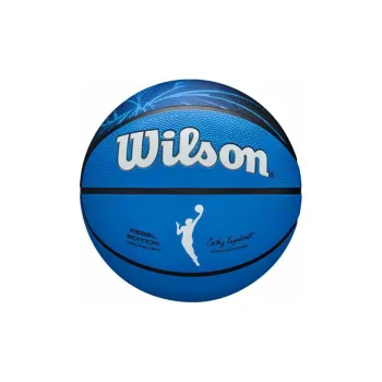 Wilson Size 6 Ball Indoor Outdoor Universal Basketball Other White Blue