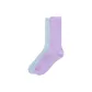2 Pack (Blue+Purple Lilac)