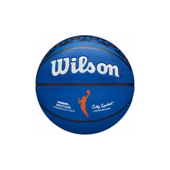 Wilson Size 6 Ball Indoor Outdoor Universal Basketball Other Blue