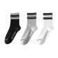 3 Pack (Black Stripe, Light Gray Black Stripe, White Black Stripe)