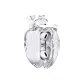 AirPods Pro/Pro2 transparent