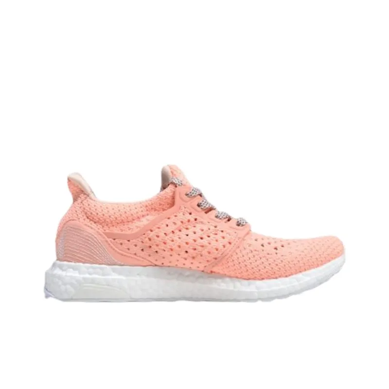 Adidas Ultra Boost Clima V DAY-1
