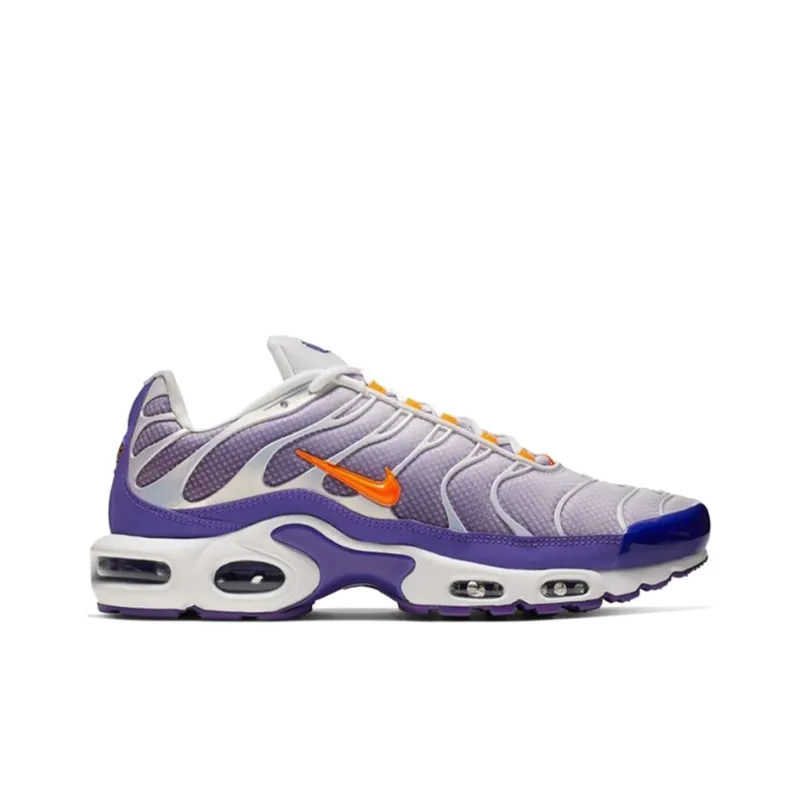 Nike Air Max Plus Color Flip Pack Grape-1