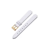 White--Gold Pin Buckle