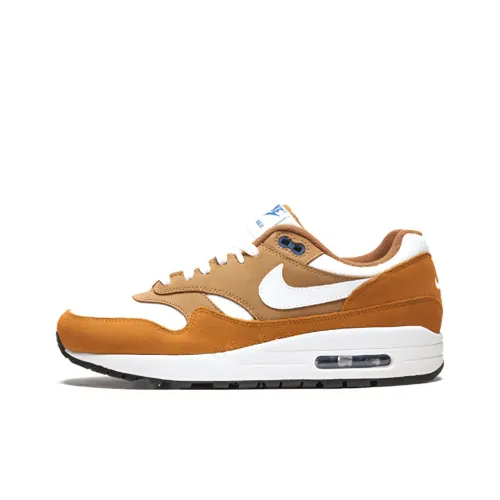 Nike Air Max 1 Curry 2018