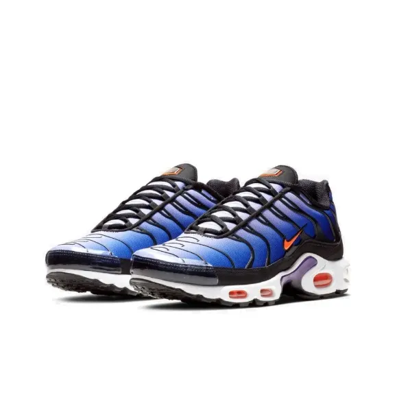 Nike Air Max Plus Og Voltage Purple 2018-2