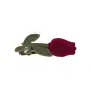 Tulip Side Bang Clip-Red Trumpets
