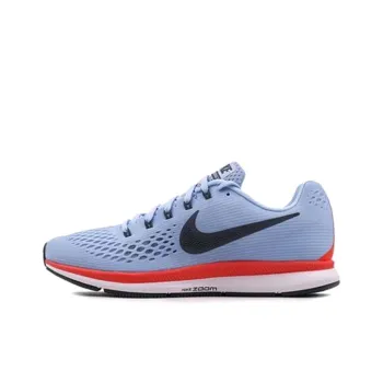 Nike Air Zoom Pegasus 34 Ice Blue