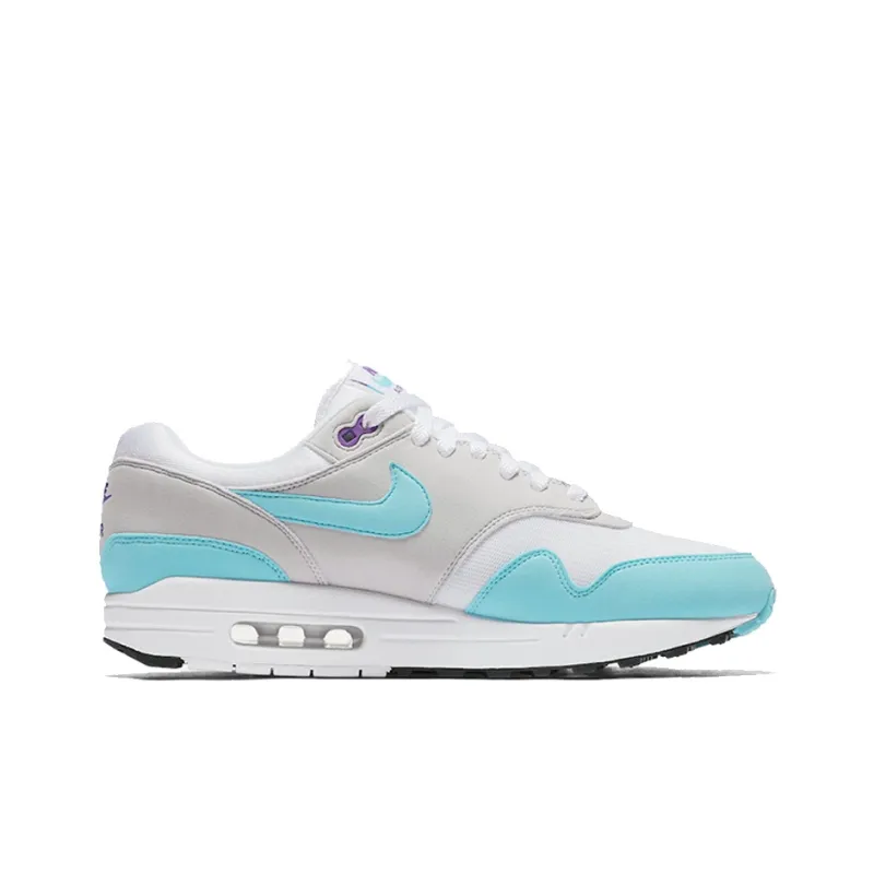 Nike Air Max 1 Anniversary Aqua-1