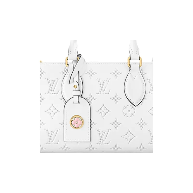 LOUIS VUITTON OnTheGo East West-3