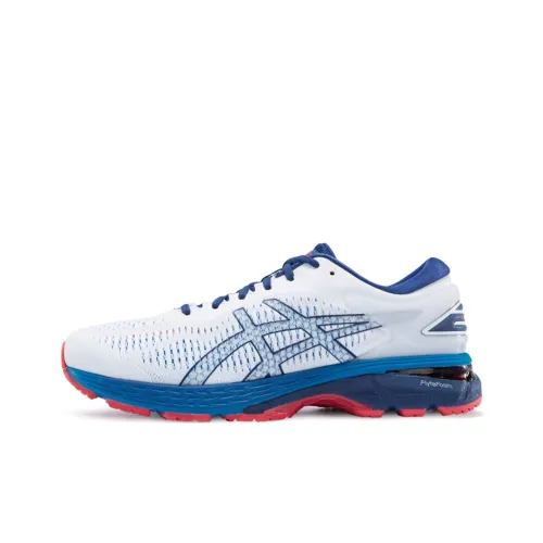 Asics Gel Kayano 25 'White Blue Print'