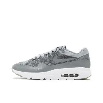 Nike Air Max 1 Ultra Wolf Grey