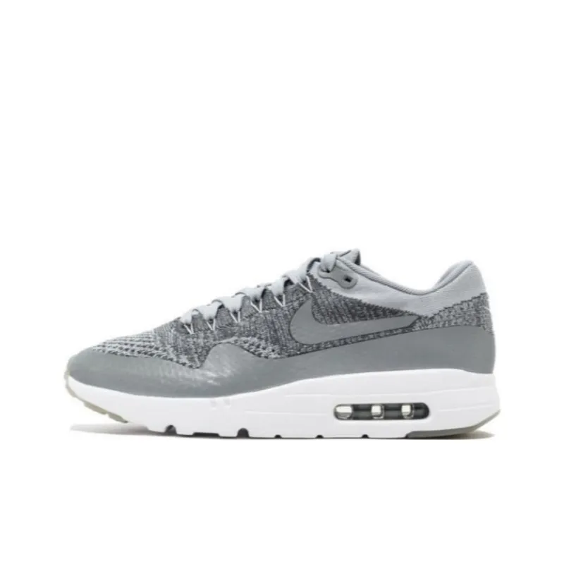 Nike Air Max 1 Ultra Wolf Grey-0