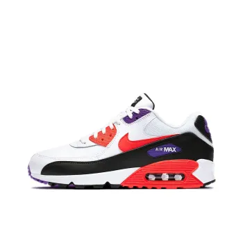 Nike Air Max 90 Raptors