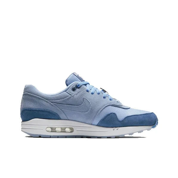Nike Air Max 1 Have A Nike Day Indigo Storm-1