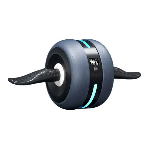 Ph.D. Research Abdominal Rollers Unisex