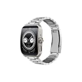 Silver Strap Only, with Adjusting Tool
