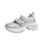 Silver Gray