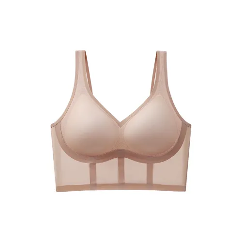 Lanza Women's Bras