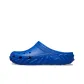 Geneva Blue