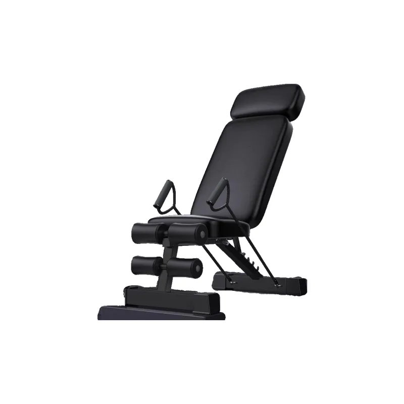 Ph.D. research Dumbbell Benches-4