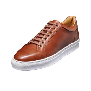 BARKER Sam Skateboard Shoes Men's Brown