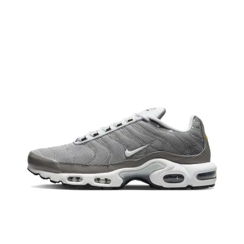 Nike Air Max Plus Flat Pewter