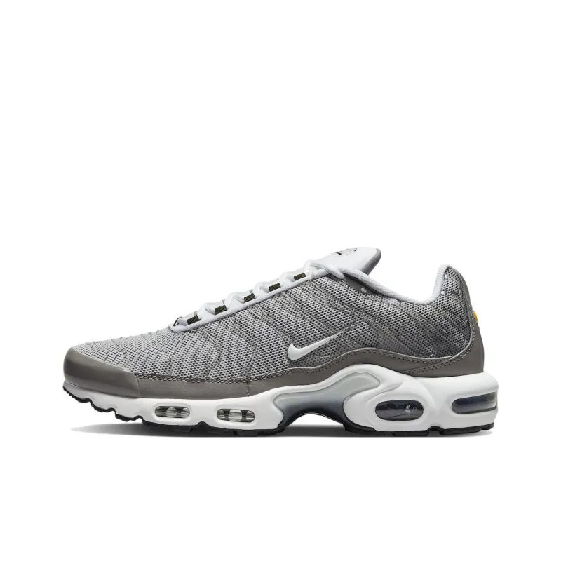 Nike Air Max Plus Flat Pewter-0