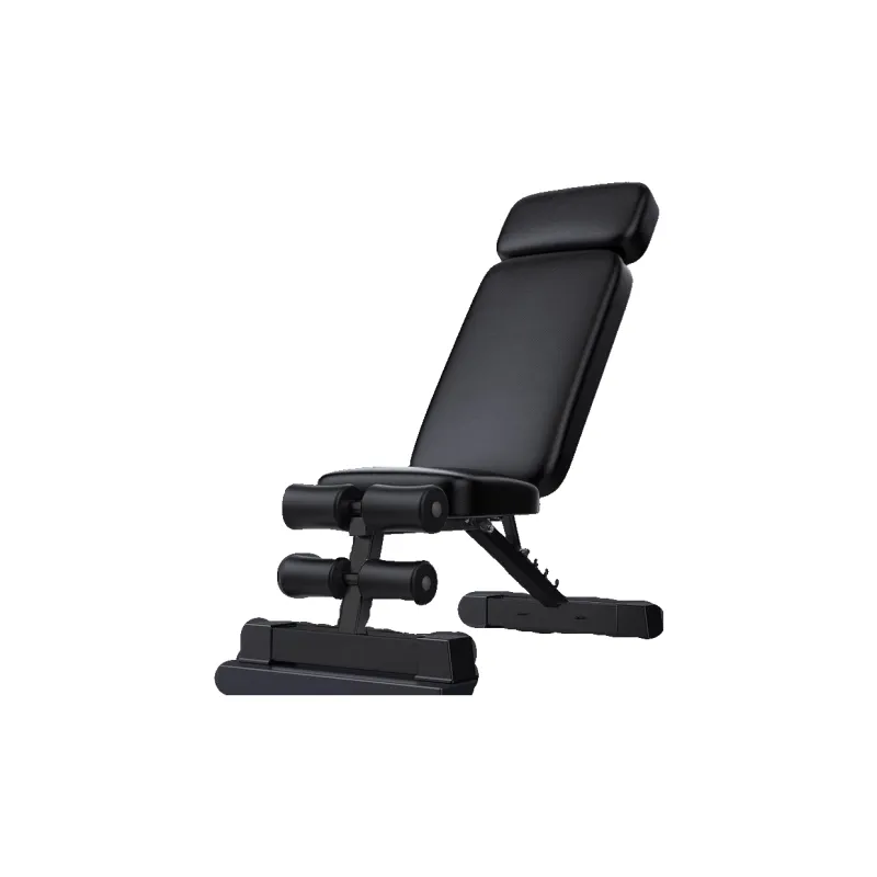 Ph.D. research Dumbbell Benches-2