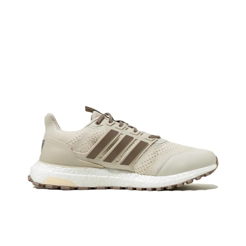 Adidas UltraBoost Dna Guard 'Aluminium Chalk Brown'-1