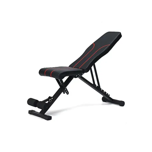 Ph.D. research Dumbbell Benches