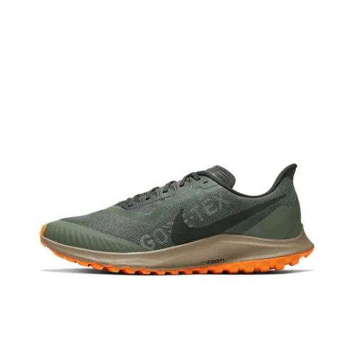 Nike Zoom Pegasus 36 Trail Gore-tex Galactic Jade