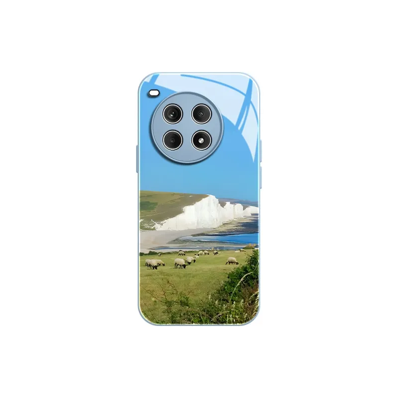 CHUNFAN Phone Cases-18