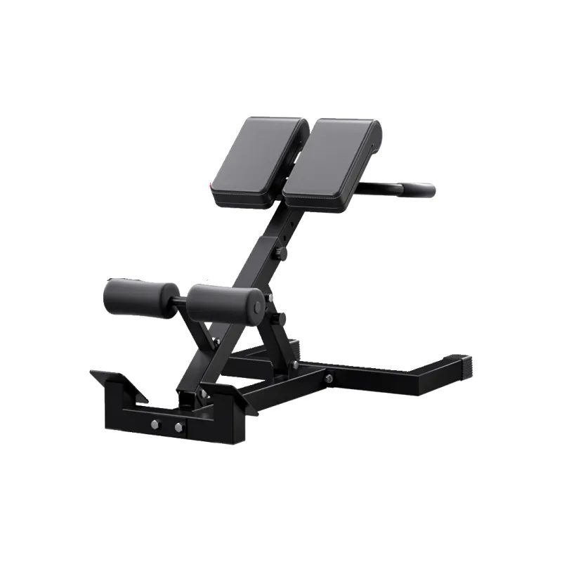 Ph.D. Research Roman Chair Mountain Goat Chest Press Solid Chest Dumbbell Preacher Bench Lying Leg Raise Lat Pulldown-0