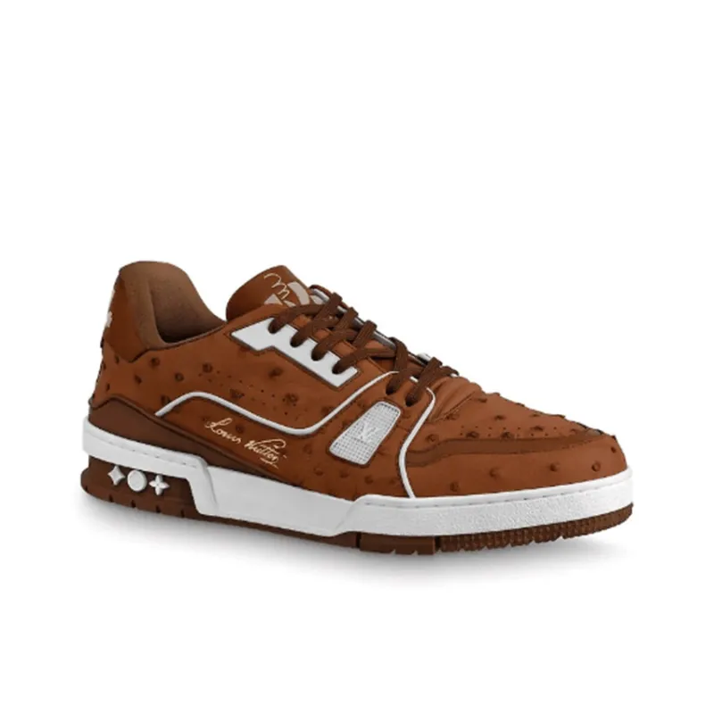 LOUIS VUITTON Trainer Stylish Skateboarding Shoes Unisex Chocolate Brown-1
